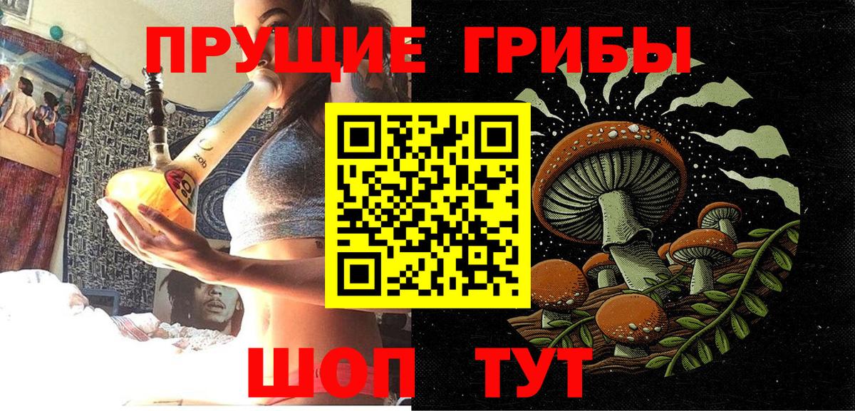 Шатура  Галлюциногенные грибы прущие грибы  Вход с VPN 
